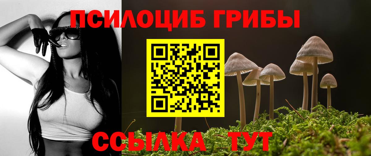 Псилоцибиновые грибы Psilocybine cubensis Пыть-Ях